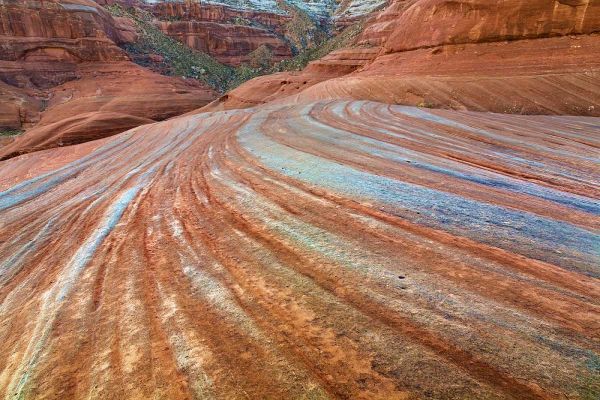 UT, Glen Canyon Patterns in sandstone rock